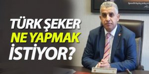 Türk Şeker Ne Yapmak İstiyor?