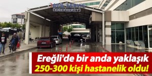 Ereğli'de yaklaşık 250 kişi hastanelik oldu