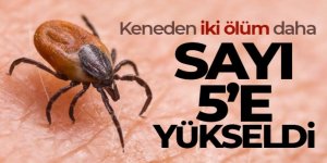 Keneden iki ölüm daha, sayı 5'e yükseldi