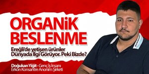 ORGANİK BESLENME