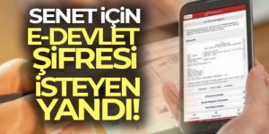 Senet için e devlet şifresi isteyen yandı