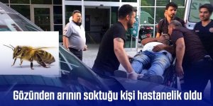 Gözünden arının soktuğu kişi hastanelik oldu