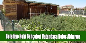 Belediye Hobi Bahçeleri Vatandaşa Nefes Aldırıyor
