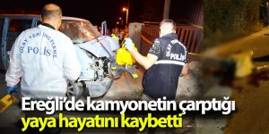 Ereğli’de kamyonetin çarptığı kadın hayatını kaybetti