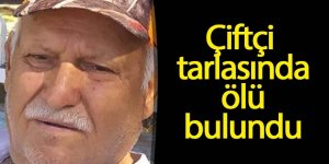 Çiftçi tarlasında ölü bulundu