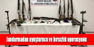 Jandarmadan uyuşturucu ve hırsızlık operasyonu