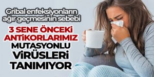 3 sene önceki antikorlarımız mutasyonlu virüsleri tanımıyor