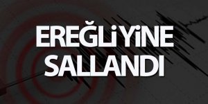 Son dakika! Ereğli yine sallandı