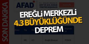Ereğli’de 4.3 büyüklüğünde deprem