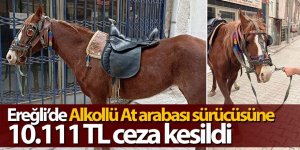 Alkollü At sürücüsüne 10.111 TL ceza