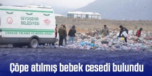 Çöpe atılmış bebek cesedi bulundu