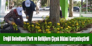 Ereğli Belediyesi Park ve Refüjlere Çiçek Dikimi Gerçekleştirdi