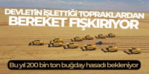 Türkiye'nin tahıl ambarında bu yıl 200 bin ton buğday hasadı bekleniyor