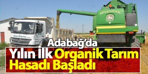 Adabağ’da Yılın İlk Organik Tarım Hasadı Başladı