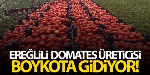 EREĞLİLİ DOMATES ÜRETİCİSİ BOYKOTA GİDİYOR