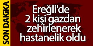 Ereğli'de 2 kişi gazdan zehirlendi