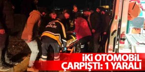 iki otomobil çarpıştı: 1 yaralı