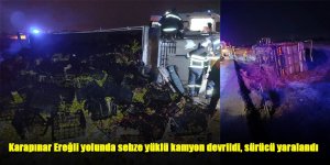 Karapınar Ereğli yolunda sebze yüklü kamyon devrildi, sürücü yaralandı