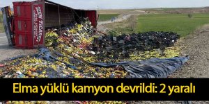 Elma yüklü kamyon devrildi: 2 yaralı