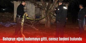 Bahçeye ağaç budamaya gitti cansız bedeni bulundu