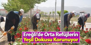 Ereğli’de Orta Refüjlerin Yeşil Dokusu Korunuyor 