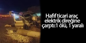 Hafif ticari araç elektrik direğine çarptı: 1 ölü, 1 yaralı