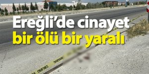 Ereğli’de cinayet bir ölü bir yaralı