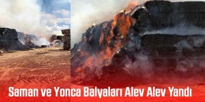 Saman ve Yonca Balyaları Alev Alev Yandı