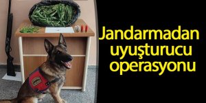 Jandarmadan uyuşturucu operasyonu