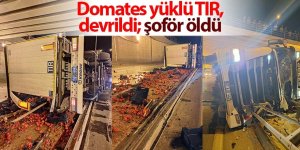 Domates yüklü TIR, devrildi; şoför öldü