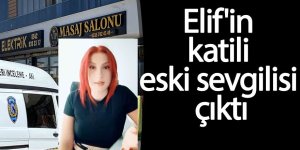 Elif'in katili eski sevgilisi çıktı