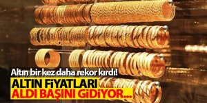 Altın fiyatları aldı başını gidiyor