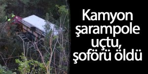 Kamyon şarampole uçtu, şoförü öldü