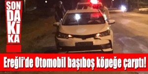 Ereğli’de Otomobil başıboş köpeğe çarptı!