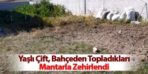 Yaşlı Çift, Bahçeden Topladıkları Mantarla Zehirlendi