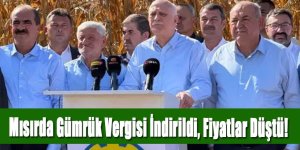 Mısırda Gümrük Vergisi İndirildi, Fiyatlar Düştü!