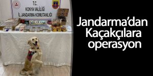 Jandarma’dan Kaçakçılara Operasyon