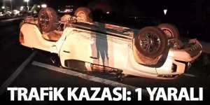 Trafik Kazası: 1 Yaralı