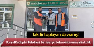 Fen işleri yol bakım ekibi yaralı şahin buldu