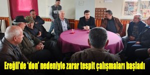 Ereğli’de ‘don’ nedeniyle zarar tespit çalışmaları başladı