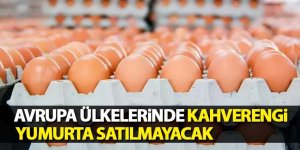 Almanya'da kahverengi yumurta satışı kısıtlandı