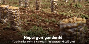 Yurt dışından gelen 2 bin tondan fazla patates virüslü çıktı