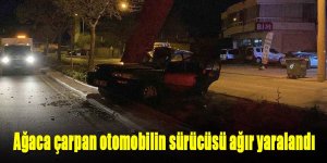 Ağaca çarpan otomobilin sürücüsü ağır yaralandı