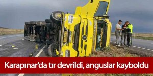 Karapınar’da tır devrildi, anguslar kayboldu