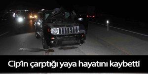 Cip’in çarptığı yaya hayatını kaybetti