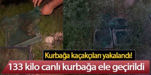 Kurbağa kaçakçıları yakalandı: 133 kilo canlı kurbağa ele geçirildi