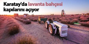 Karatay'da lavanta bahçesi kapılarını açıyor