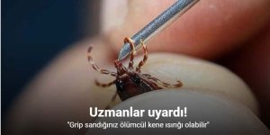 Uzmanlar uyardı: "Grip sandığınız ölümcül kene ısırığı olabilir"