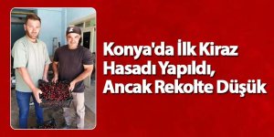 Konya'da İlk Kiraz Hasadı Yapıldı, Ancak Rekolte Düşük
