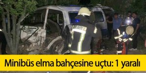 Minibüs elma bahçesine uçtu: 1 yaralı